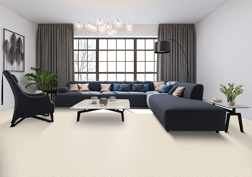 white carpet in living room
